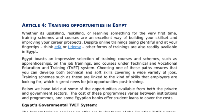 Training opportunities in Egypt