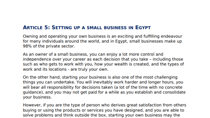 Setting Up a Small Business in Egypt